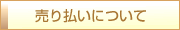 ���蕥���ɂ���